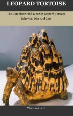  「The Tortoise and the Leopard」: 賢者の知恵と狡猾さ、そして友情の意外性